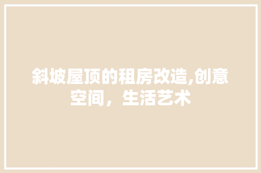 斜坡屋顶的租房改造,创意空间，生活艺术