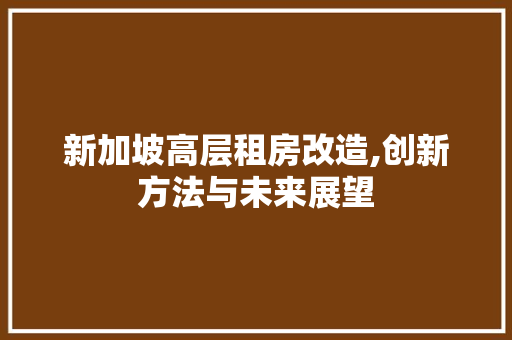 新加坡高层租房改造,创新方法与未来展望