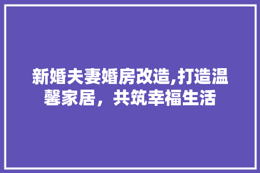 新婚夫妻婚房改造,打造温馨家居，共筑幸福生活