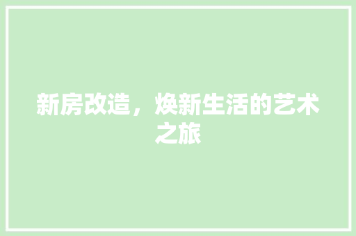 新房改造，焕新生活的艺术之旅