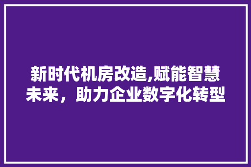 新时代机房改造,赋能智慧未来，助力企业数字化转型