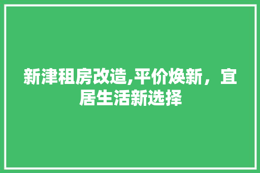 新津租房改造,平价焕新，宜居生活新选择