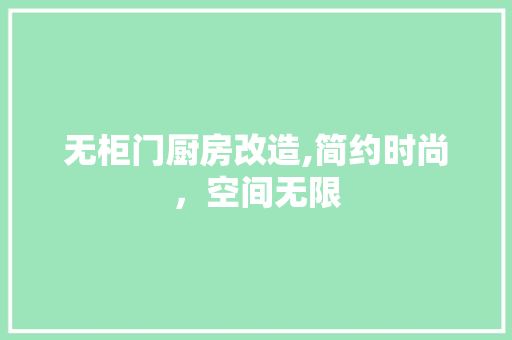 无柜门厨房改造,简约时尚，空间无限