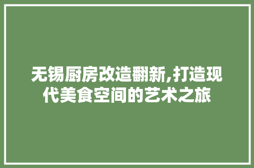 无锡厨房改造翻新,打造现代美食空间的艺术之旅