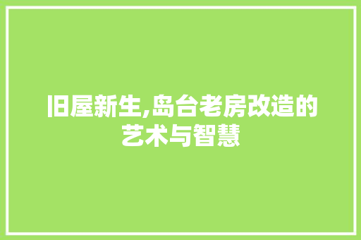 旧屋新生,岛台老房改造的艺术与智慧