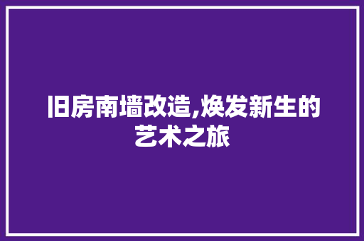 旧房南墙改造,焕发新生的艺术之旅
