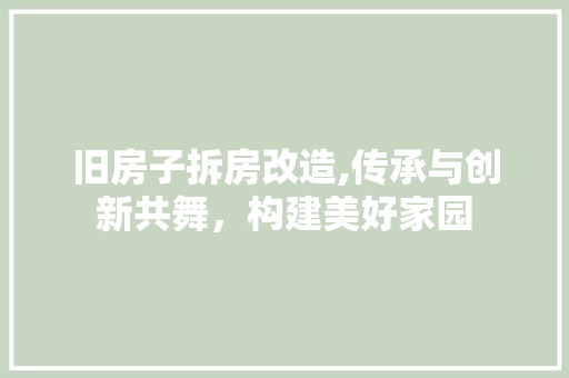 旧房子拆房改造,传承与创新共舞，构建美好家园