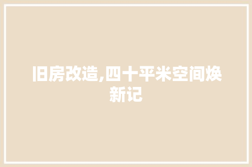 旧房改造,四十平米空间焕新记
