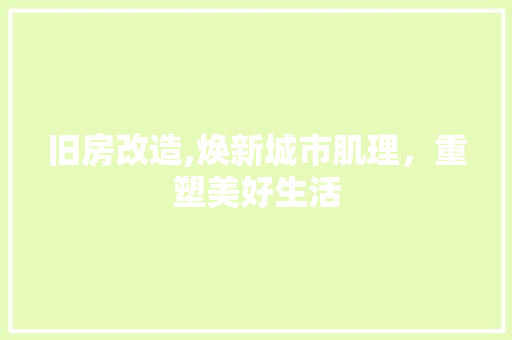 旧房改造,焕新城市肌理，重塑美好生活