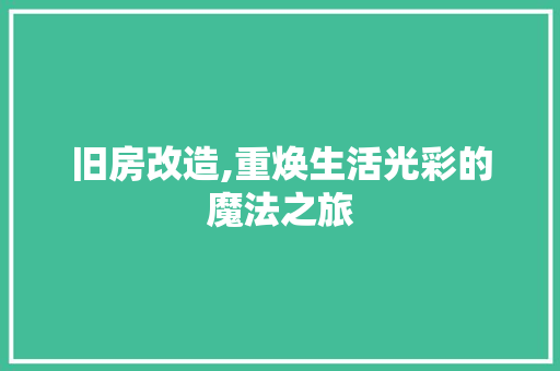 旧房改造,重焕生活光彩的魔法之旅