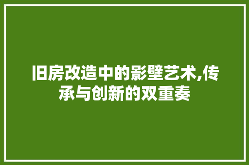 旧房改造中的影壁艺术,传承与创新的双重奏