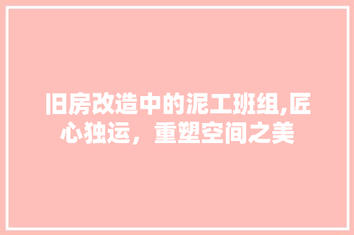 旧房改造中的泥工班组,匠心独运，重塑空间之美