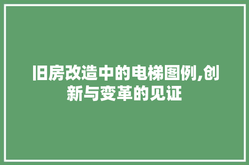 旧房改造中的电梯图例,创新与变革的见证