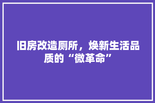 旧房改造厕所，焕新生活品质的“微革命”