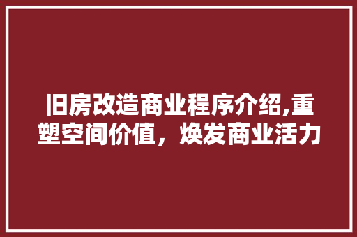 旧房改造商业程序介绍,重塑空间价值，焕发商业活力
