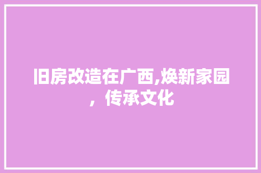 旧房改造在广西,焕新家园，传承文化