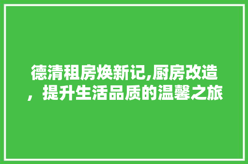 德清租房焕新记,厨房改造，提升生活品质的温馨之旅