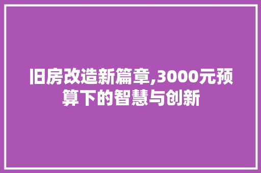 旧房改造新篇章,3000元预算下的智慧与创新