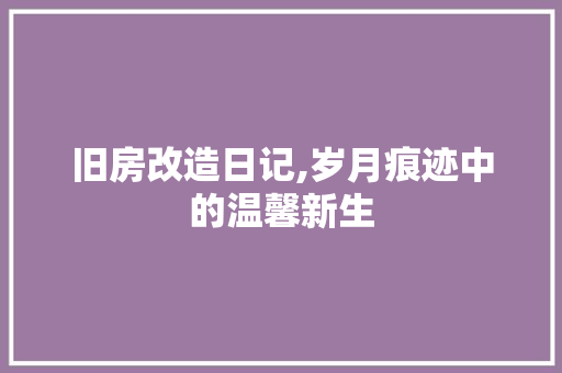 旧房改造日记,岁月痕迹中的温馨新生