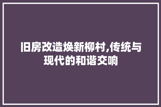旧房改造焕新柳村,传统与现代的和谐交响