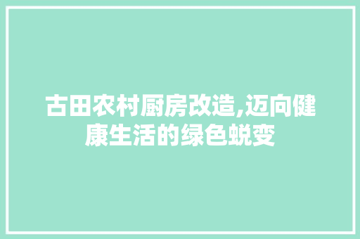 古田农村厨房改造,迈向健康生活的绿色蜕变