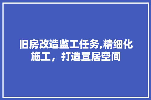 旧房改造监工任务,精细化施工，打造宜居空间