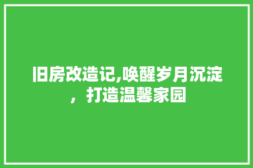 旧房改造记,唤醒岁月沉淀，打造温馨家园