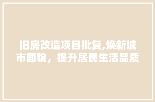 旧房改造项目批复,焕新城市面貌，提升居民生活品质
