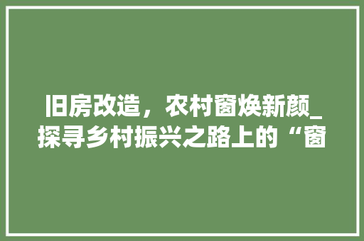 旧房改造，农村窗焕新颜_探寻乡村振兴之路上的“窗户”之路