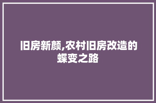 旧房新颜,农村旧房改造的蝶变之路