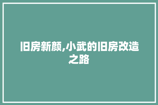 旧房新颜,小武的旧房改造之路