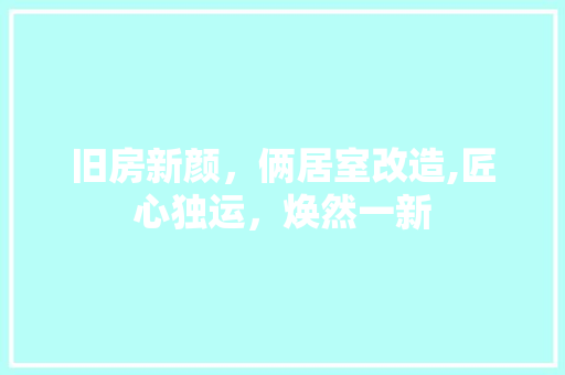 旧房新颜，俩居室改造,匠心独运，焕然一新