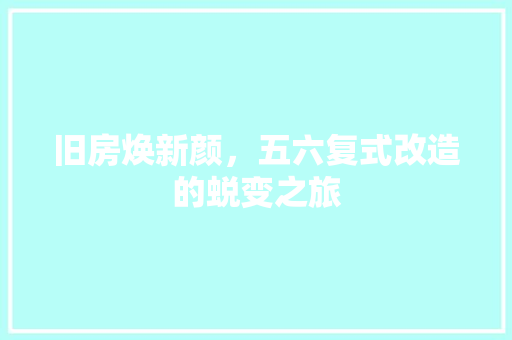 旧房焕新颜，五六复式改造的蜕变之旅