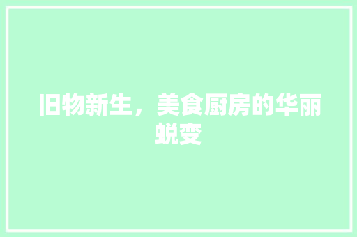 旧物新生，美食厨房的华丽蜕变