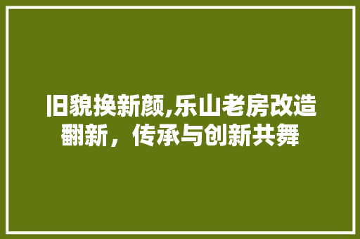 旧貌换新颜,乐山老房改造翻新，传承与创新共舞