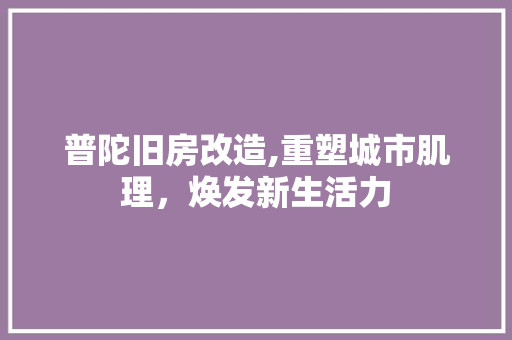 普陀旧房改造,重塑城市肌理，焕发新生活力