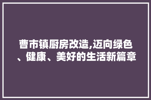 曹市镇厨房改造,迈向绿色、健康、美好的生活新篇章