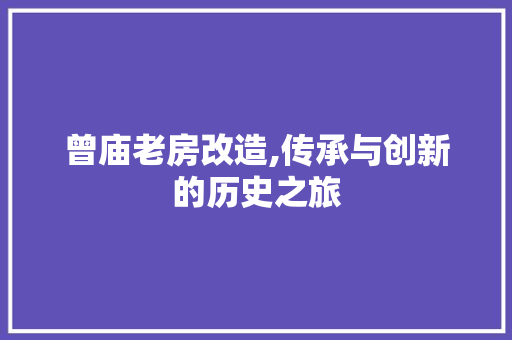 曾庙老房改造,传承与创新的历史之旅