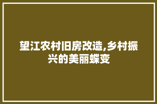 望江农村旧房改造,乡村振兴的美丽蝶变