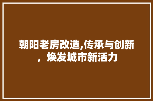 朝阳老房改造,传承与创新，焕发城市新活力