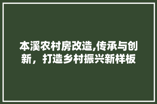 本溪农村房改造,传承与创新，打造乡村振兴新样板