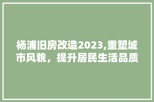 杨浦旧房改造2023,重塑城市风貌，提升居民生活品质