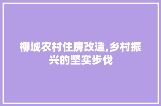 柳城农村住房改造,乡村振兴的坚实步伐