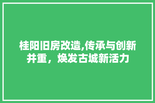 桂阳旧房改造,传承与创新并重，焕发古城新活力