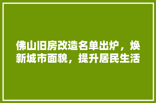 佛山旧房改造名单出炉，焕新城市面貌，提升居民生活品质