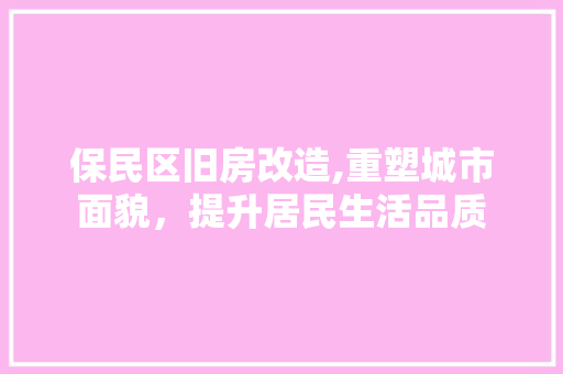 保民区旧房改造,重塑城市面貌，提升居民生活品质