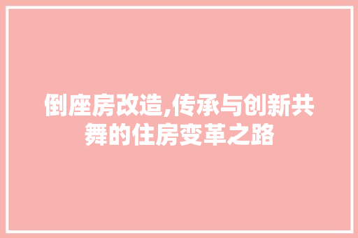 倒座房改造,传承与创新共舞的住房变革之路