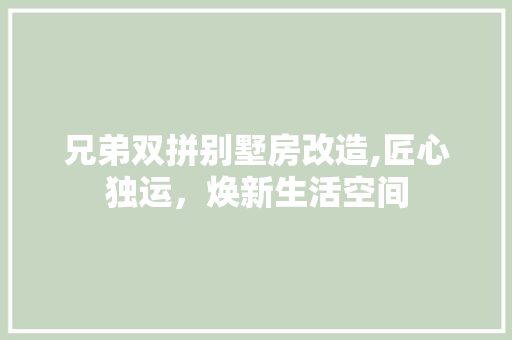 兄弟双拼别墅房改造,匠心独运，焕新生活空间