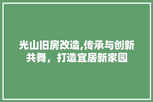 光山旧房改造,传承与创新共舞，打造宜居新家园