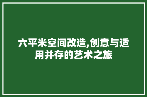 六平米空间改造,创意与适用并存的艺术之旅